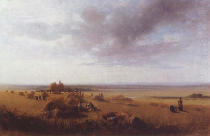 A cornfield, Peter Dewint